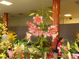 Foto: Dr. Peter Müller